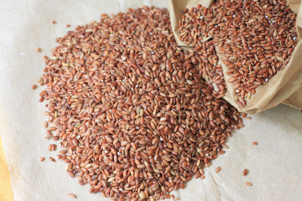 Red Rye Rice red-rice – DrukBees